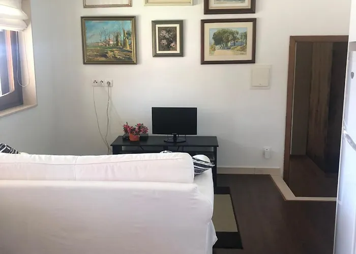 Relaxando No Campo *