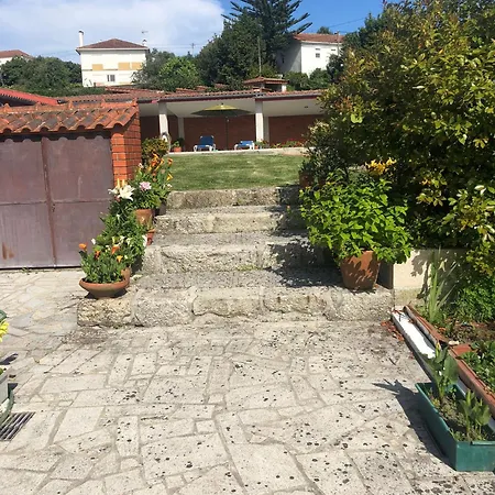 Relaxando No Campo *